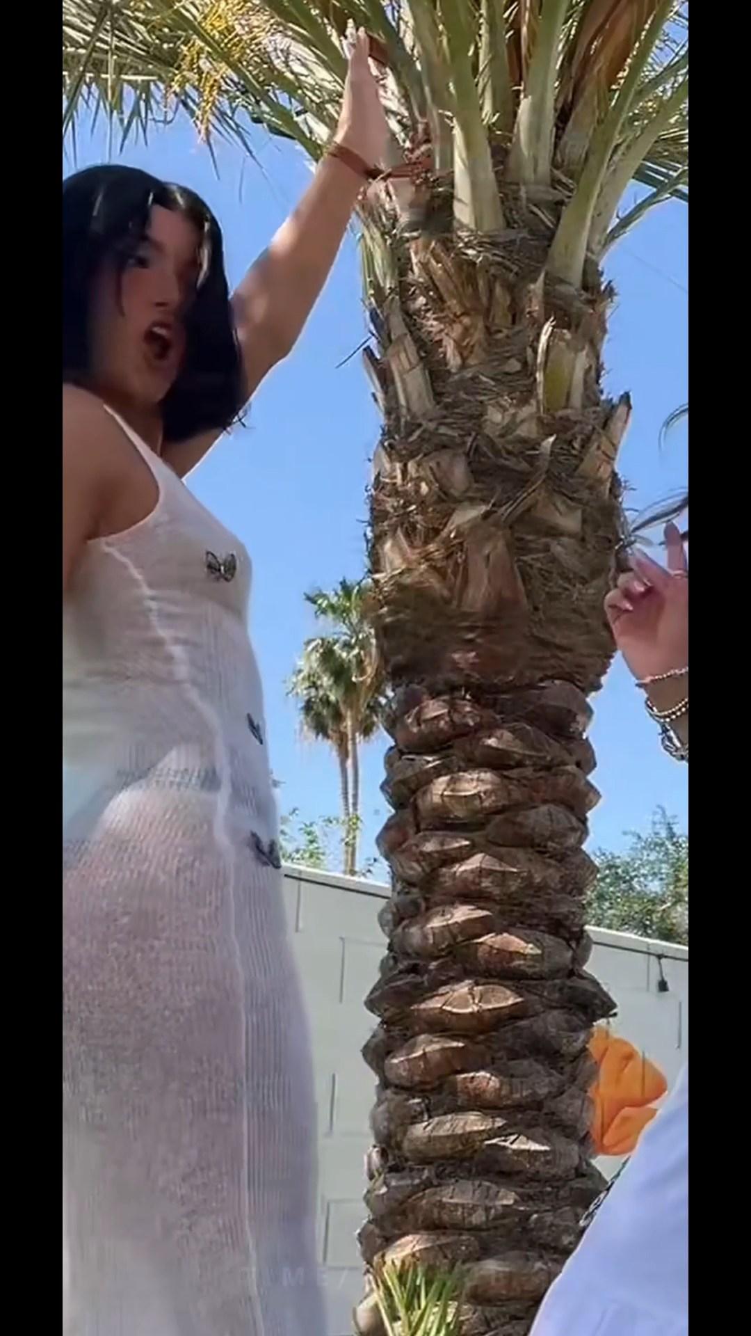 charli_damelio_nude_tits_see-through_video_leaked-bbseay charli damelio nude tits see through video leaked bbseay